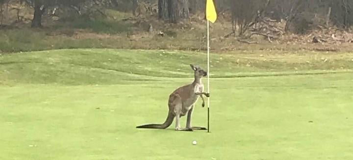 Fit 39 Golf Glove Golf Course Australia New Zealand